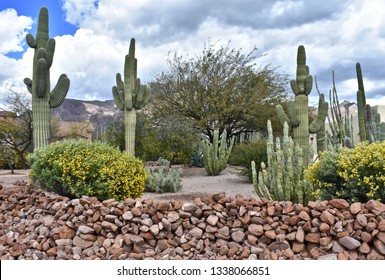 5,350 Desert Yard Images, Stock Photos & Vectors | Shutterstock