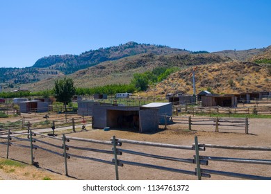 The Desert Lanscape Of Osoyoos BC, In Canada.