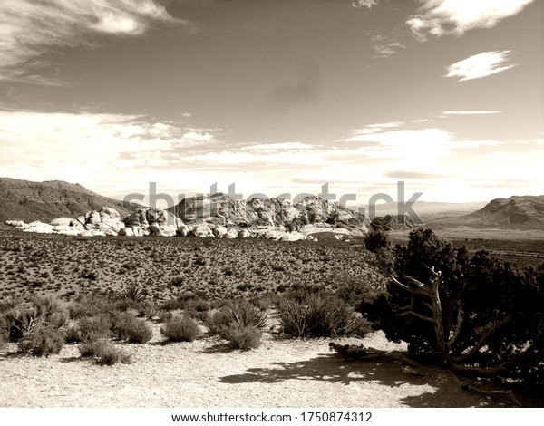 Desert Las Vegas Nevada\
landscape