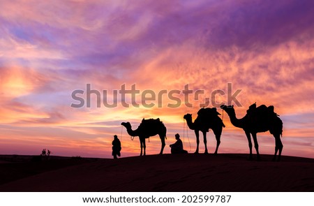 desert man with camel and great sky settings.