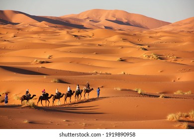 Desert Of Merzouga In Morocco With Some Camels