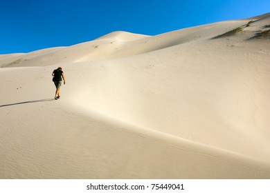 Desert - Mongolia