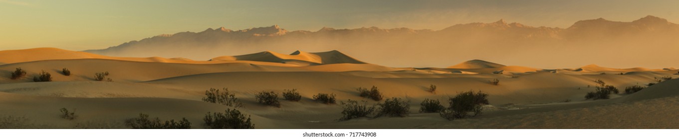 Desert morning - Powered by Shutterstock