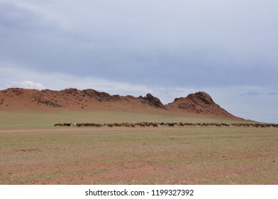 desert and mount