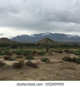 Desert And Mount Graham In Arizona