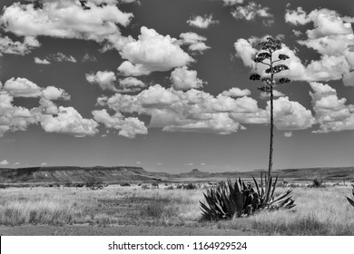 Desert mountain landscape - Powered by Shutterstock