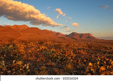 Desert Mountains at Sunrise. Southern Rocky Mountains in El Paso, Texas at Sunrise. Area is known as Castner Range. It is an old firing range that is off limits to the public.