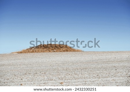 Desert, nature and landscape of environment with hill or countryside with grass, sand and blue sky. Mountain, peak and travel outdoor in summer to hillside with dry plants on dune, mound or bush