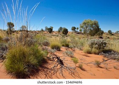 Desert Near The Old Canning Stock Route In Western Australia.