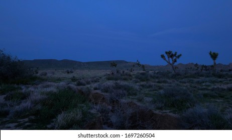 The Desert Of Nevada By Night - Travel Photography
