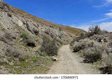 Desert Nevada Hiking Trail Head