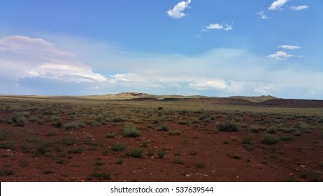 Desert New Mexico