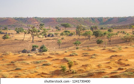 Desert of Niger, Niamey. Trees and sand in hot desert of the Sahara and Sahel near the Niger River Travel to Niamey in Niger, West-Africa. Lifestyle of people in Sahara and Sahel near the Niger River.