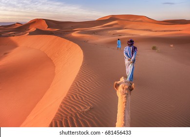 Desert nomads leading a camel in the Sahara Desert at sunrise with large sand dunes in the background.