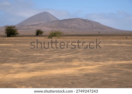 Desert plain with some mountains in the background on Sal Island, Cape Verde