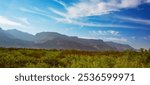 Desert Plants And Shrubs In The Forground Of The Sacramento Mountains, Mountainous Terrain