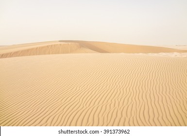 Desert. Qatar.
