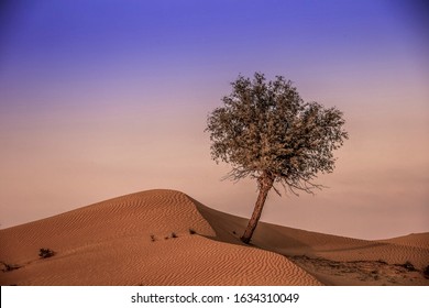 The Desert, Ras Al Khaimah, United Arab Emirates, Asia