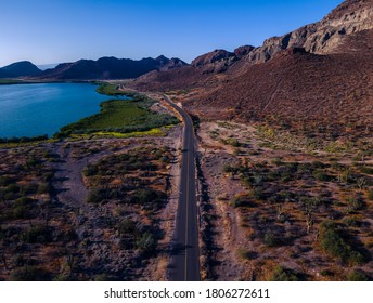 Desert Road Of Baja California Sur