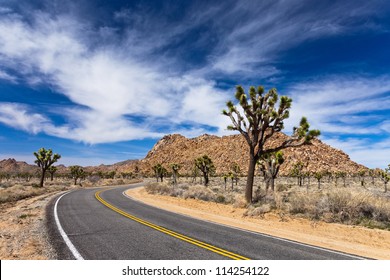 Desert Road In Joshua Tree National Park, California.