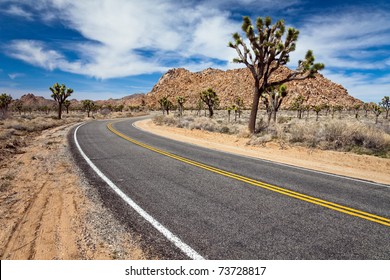 Desert Road In Joshua Tree National Park, California.