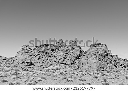 Image, Stock Photo desert guard Colour photo