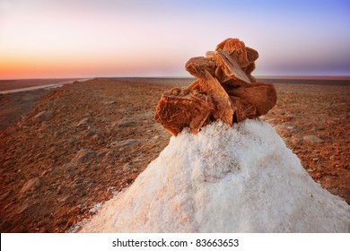 Desert Rose