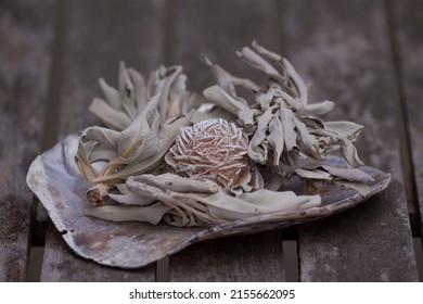 Desert Rose Stone (selenite) With Dried White Sage Leaves Presented On A Seashell: Spiritual Stone Helps To Open Up And Clean Upper Chakras And Restore Lost Balance 