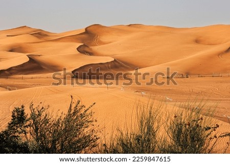Desert Rub' al-Khali
Dubai - Dunes