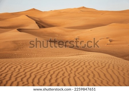 Desert Rub' al-Khali
Dubai - Dunes
