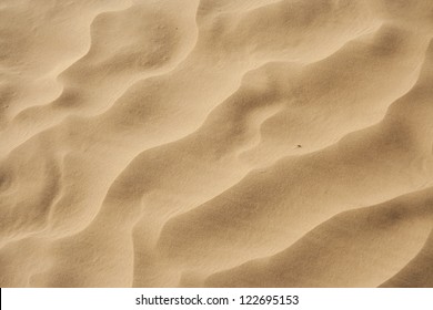 Desert Sand