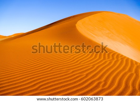 Desert sand dune landscape background