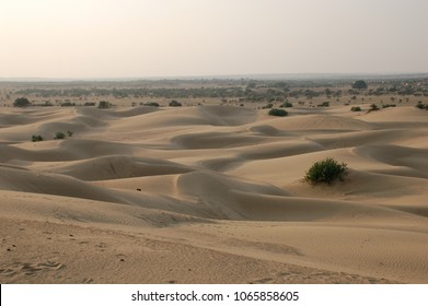 Desert Sand Dunes In Rajasthan India