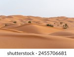 Desert Sand Dunes in Saudi Arabia