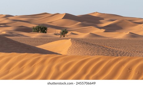 Desert Sand Dunes in Saudi Arabia - Powered by Shutterstock