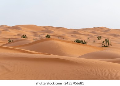 Desert Sand Dunes in Saudi Arabia - Powered by Shutterstock