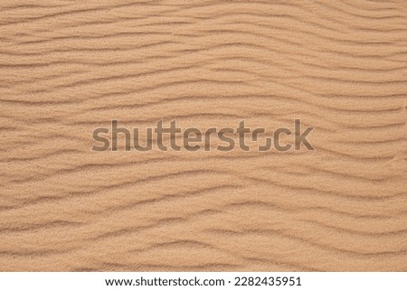 Desert sand pattern during the day light. wave sand parttern of the desert isolated.

