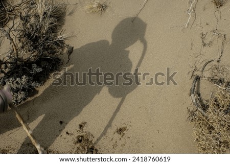 Desert Sands Discovery: Silhouette of a Cap-wearing Child Exploring with a Branch in Hand