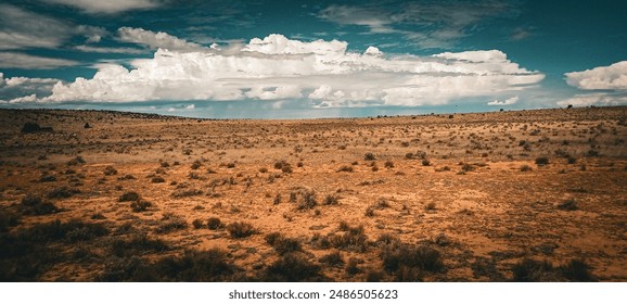 A desert scene in Arizona. - Powered by Shutterstock