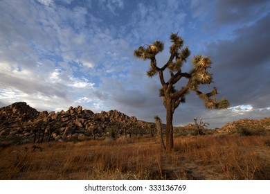 Eerie desert sunset Stock Photos, Images & Photography | Shutterstock