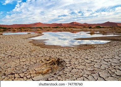Desert scene with water in Namibia