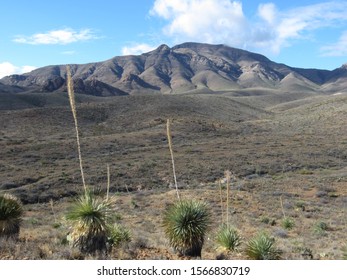 Desert Scenery In The  Franklin Mountains, Texas