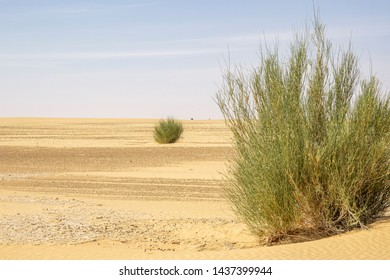 Desert Scenes In The Sahara, Chad, Africa