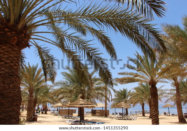 desert sea tree tropical mood best sand Wadi Rum holiday\
car sun boy 