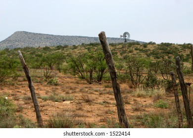 Desert In South Texas