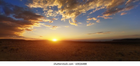 Desert Sun