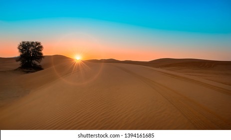 Desert Sun Rise - Early Morning - Golden Hour