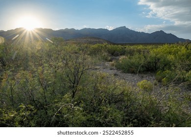 Desert sunset over mountain range
