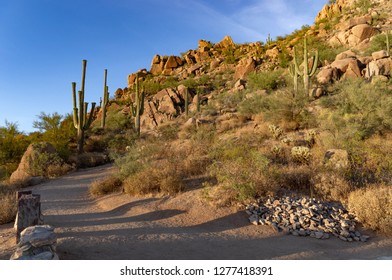 Desert Trailhead At Pinnacle Peak In Scottsdale, Arizona.