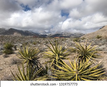 Desert view mountains